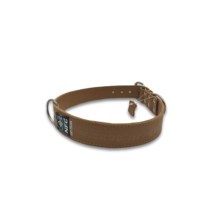 PW Pet E-Collar - Medium (33-36cm)