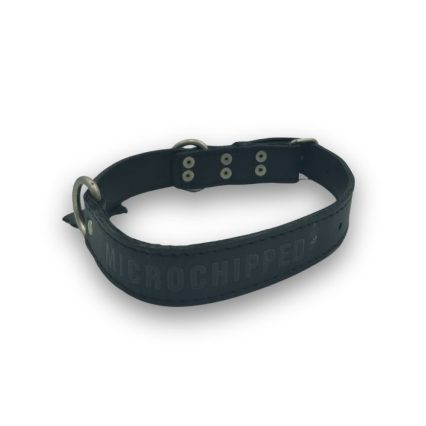 PW Pet E-Collar - Extra Large (38-43cm)