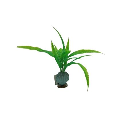 Aquarium Plant 26
