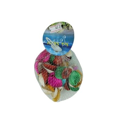 Small Color Sea Shells 3